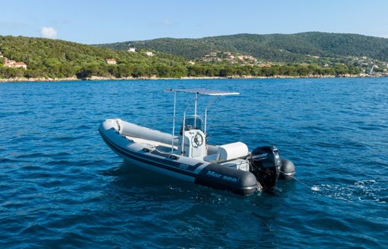 Marsea SP 100