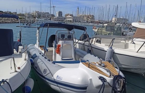 Novamarine 667 top