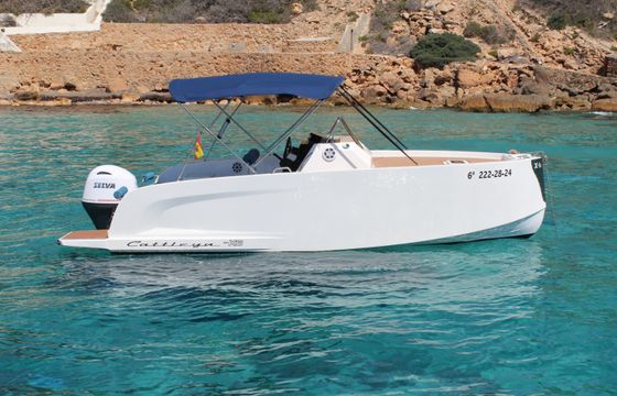 Cattleya X6 cabin