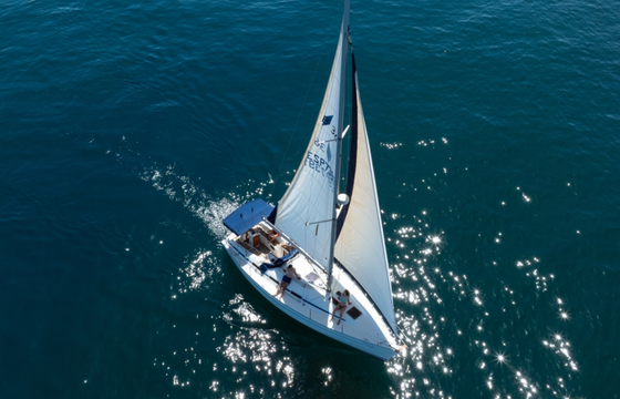 Bavaria 36 Cruiser