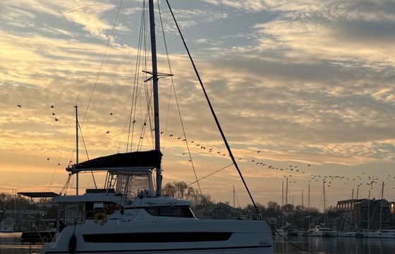 Bali Catspace Voile