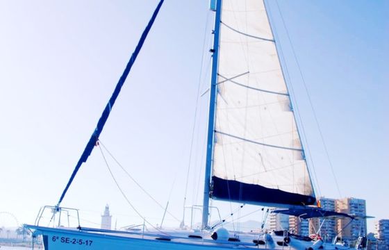 Mauritius 44