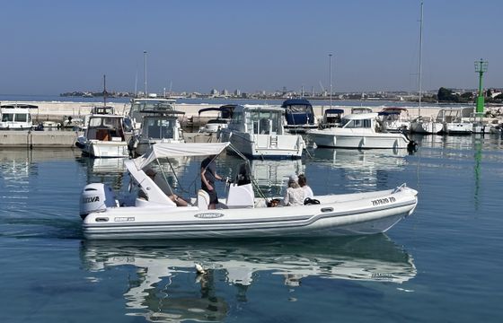 Stingher 686