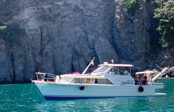 Chris Craft 31