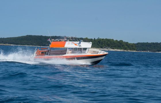 D 4.5 OPEN