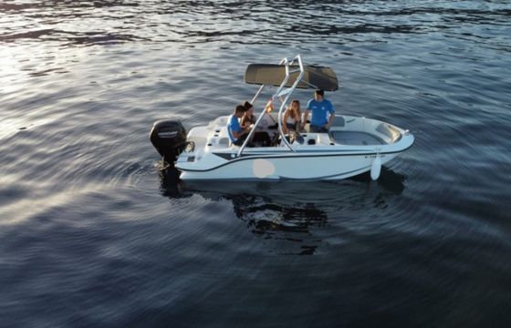 Bayliner M17