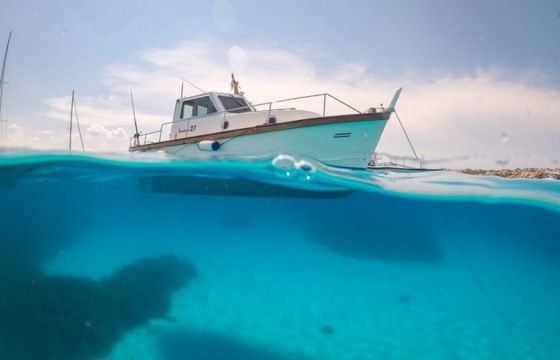 Sciallino 27