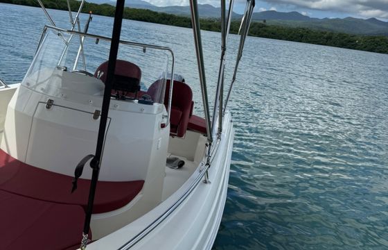 Pacific Craft 545 open