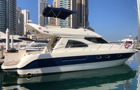 Sea Ray 43