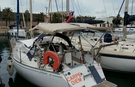 Conati 31