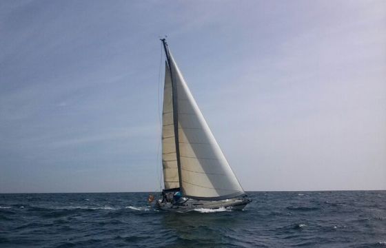 Nort Wind NW 38