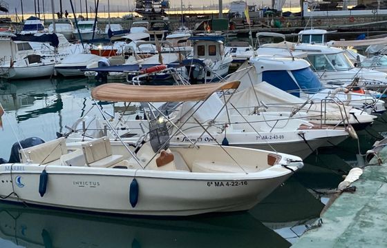 Invictus FX 190