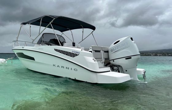 Karnic SL601