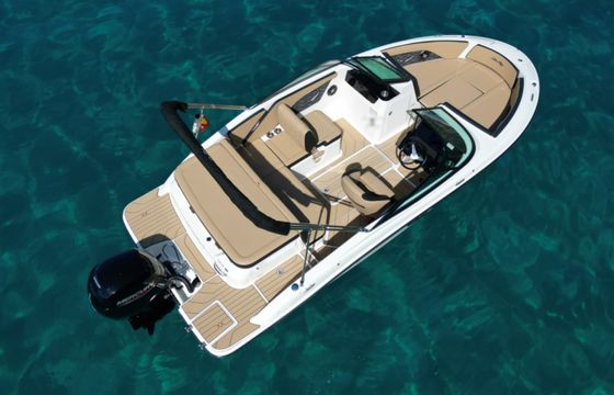 Sea Ray SPX 190 OB