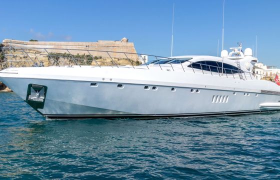 Mangusta BELISA