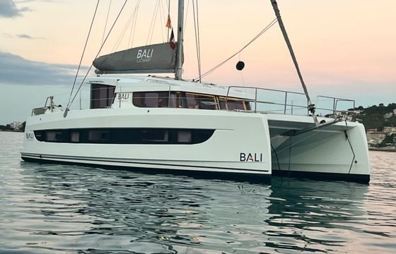 Bali Catsmart