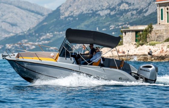 Quicksilver 675