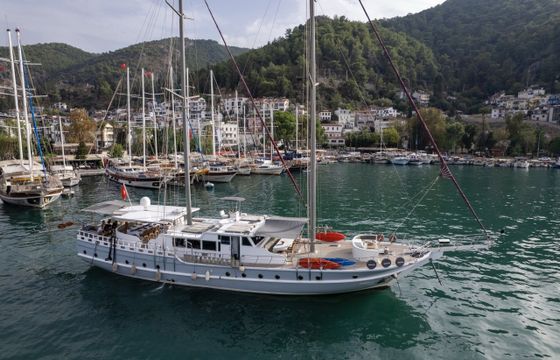 Gulet Diamond Lila