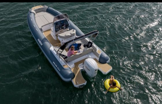 Salpa Soleil 26