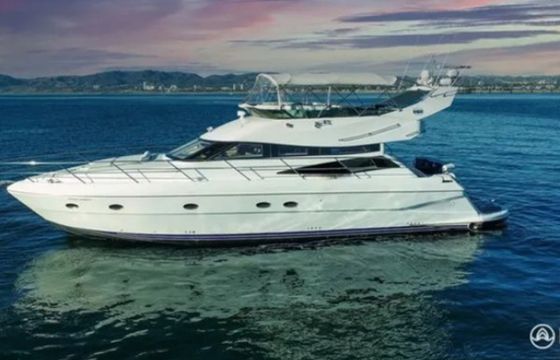 Neptunus 560