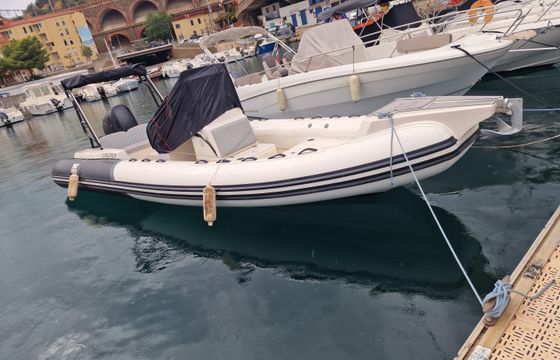 Tiger 740 PROLINE