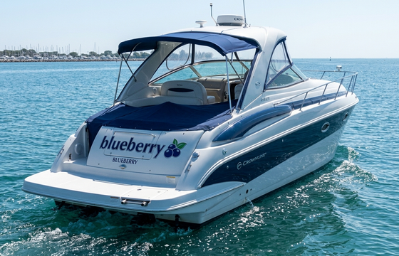 Crownline 340 CR