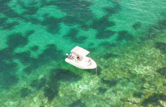 Pacific Craft 545 Open