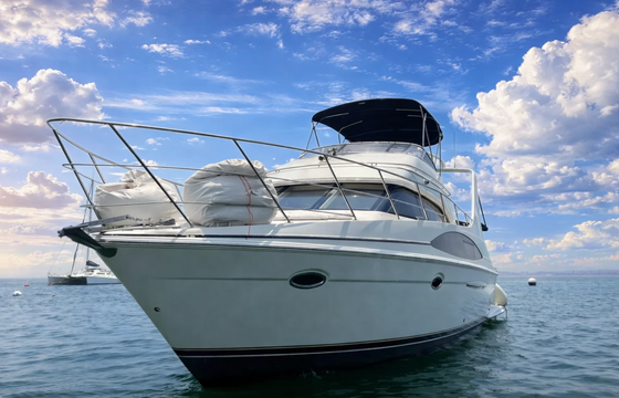 Carver 396