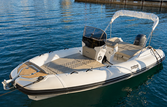 Salpa Soleil 20