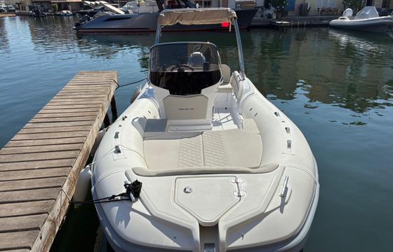 Salpa Soleil 20