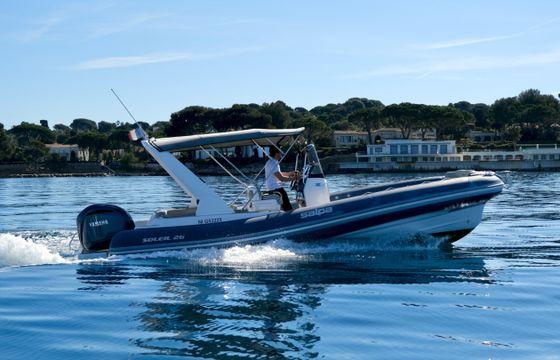 Salpa Soleil 26