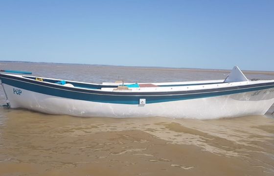 Moine Yole de mer