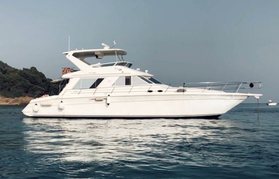 Sea Ray 550 Sedan Bridge