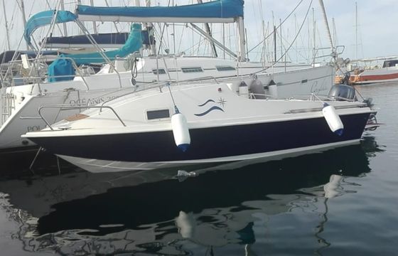 Gobbi Cruiser 520