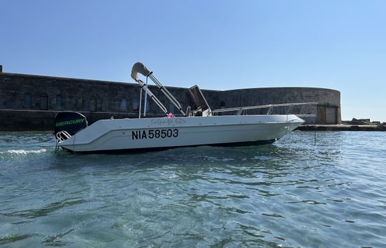 Salpa Soleil 23