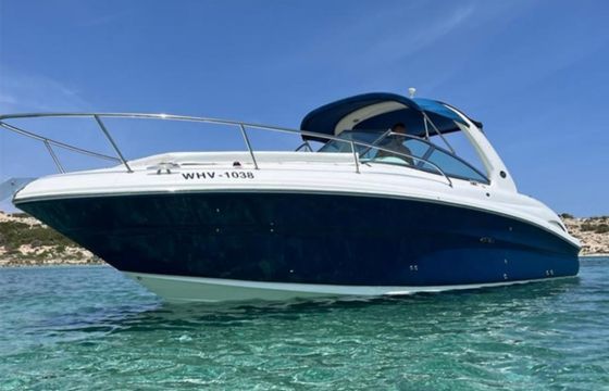 Sea Ray 295