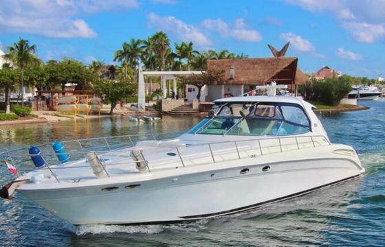 Sea Ray 555 Sundancer
