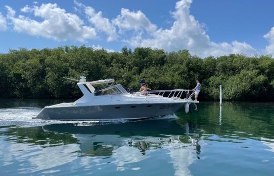 Trojan Express 38