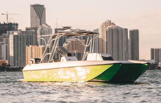 Worldcat 226