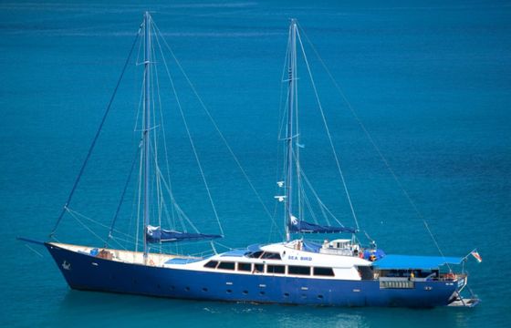 Custom Made Schooner