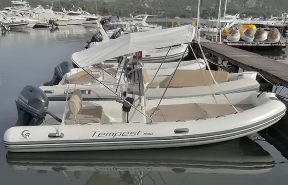Capelli Tempest 530