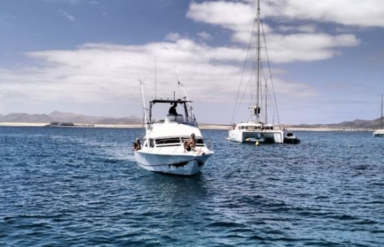 Bertram 28