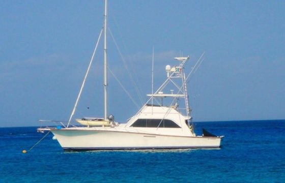 Viking 53