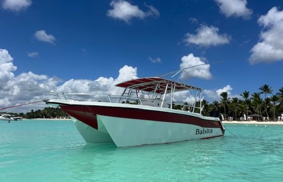 Yamaha VX