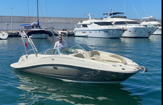 Sea Ray 260 SD
