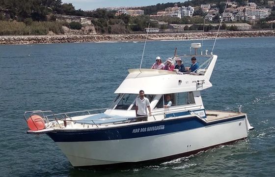 Rodman 1100
