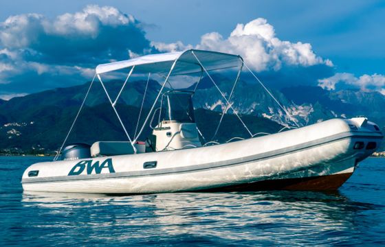 Bwa 550 Pro