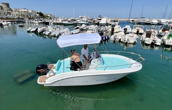 Romar Bermuda 570