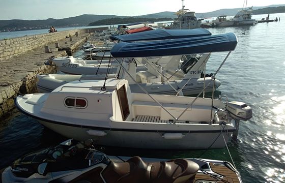 Pasara 499