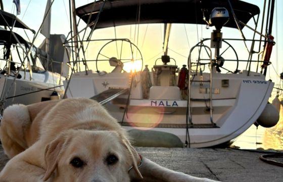 Jeanneau Sun Odyssey 45